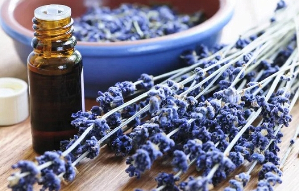 Lavender Aroma Oil  - 15 ml