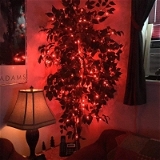 Jackal 3.98 Metre Red Led Diwali Light  - Red, Rskart, Free Size