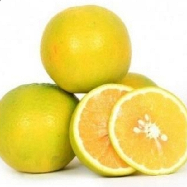 Fresho Sweat Lime /Mosambi  - 1 Kg