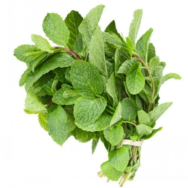 Fresho Green Mint Leaf / Purina Patti - 100Gm