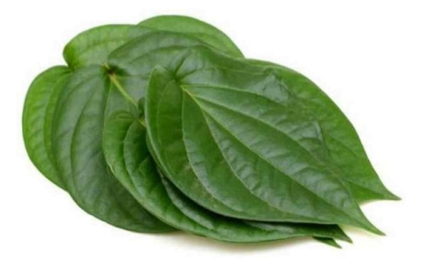 Fresho Pan Patti  - 5 Leaf