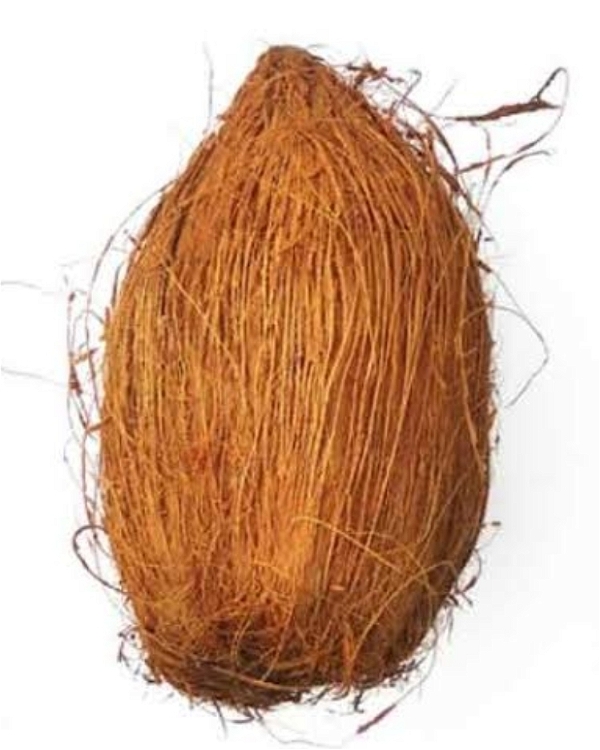 Coconut (Nariyal) - 1PC