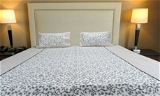Doppelganger Homes Grey Climber Double Bed sheet
