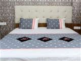 Embroidered  Double Bed Sheet-153