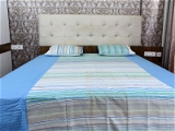 Doppelganger Homes Printed cotton Double Bed Sheet-114