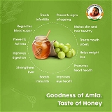Organic Honey amla ஆர்கானிக் தேன் நெல்லிக்காய்