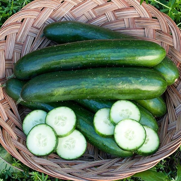 Fresh Green Cucumber (Kakdi): 500 Gm