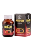 Dabur Shilajit for Vigour & Health - 100 Capsule