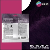 Godrej Expert Rich Creme Hair Colour Shade 4.16 Burgundy: 20 g + 20 ml Sachet