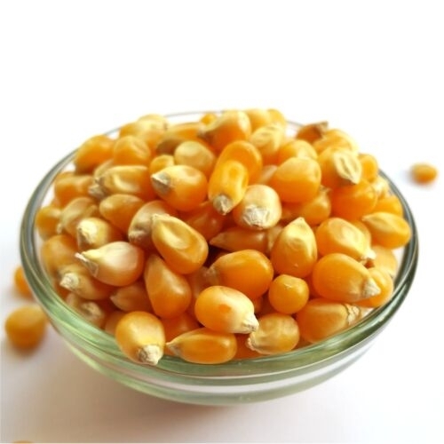 Makai For Popcorn: 200 Gm