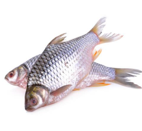 Kombada Fish - 500g