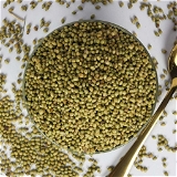 Dhana Seeds Green - 1kg
