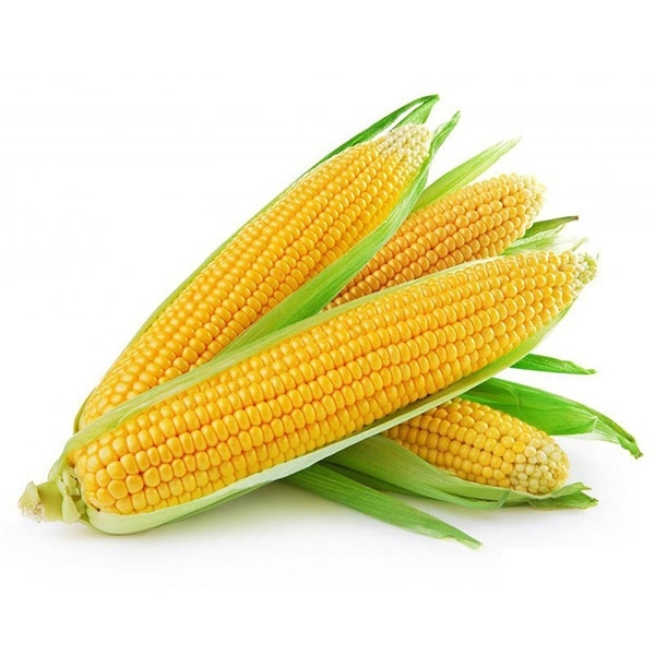 Sweet Corn-1PC