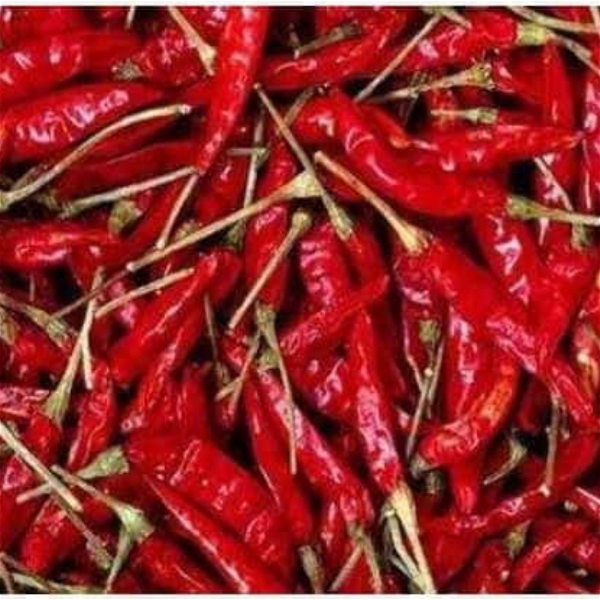 CT Mirch Dry Chilly (Sukan Jolokia) - 100g