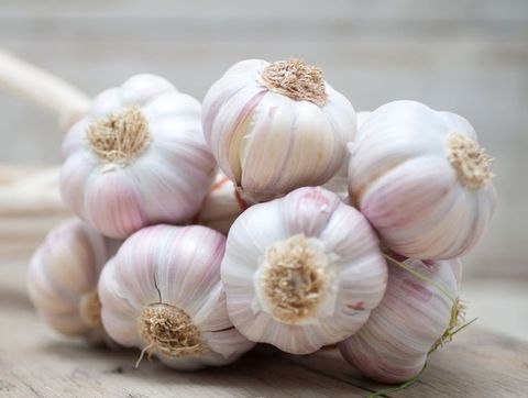 Garlic (Lahsun, Nohoru)  - 250g