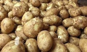 New Jalandhar Potato Aalu Aloo - 1kg