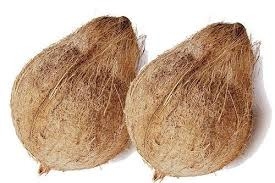 GreenAcres Dry Matured Coconut