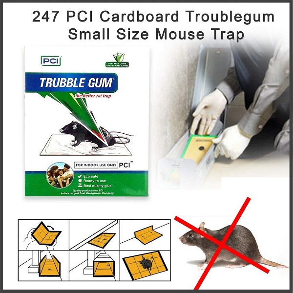 0247 PCI CARDBOARD TROUBLEGUM SMALL SIZE MOUSE TRAP-1PC