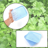 3758 1 PC KOTHMIR BASKET 