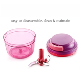 8104 GANESH LITTLE MASTER MASTER CHOPPER, MULTICOLOUR (300ML)