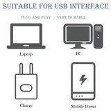 6096 SMALL USB BULB (White)