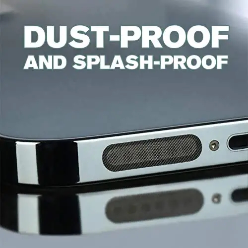 Speaker dust protector 