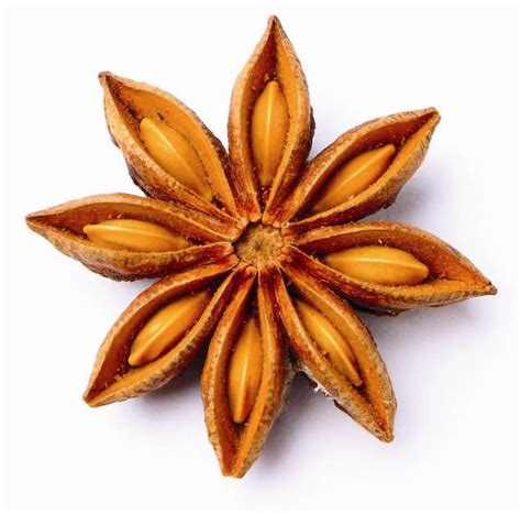 Star Anise / Badiya / Ananas Flower 20 gm