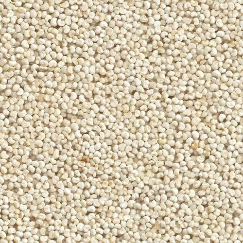 Poppy Seeds - గసగసాలు - 50g