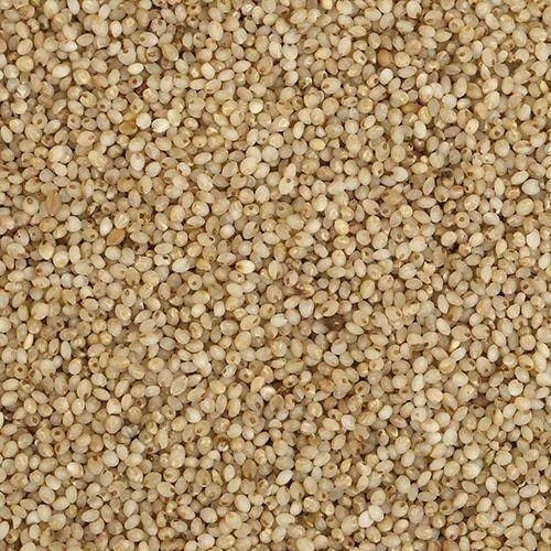 Little Millets - సామలు - 1 kg