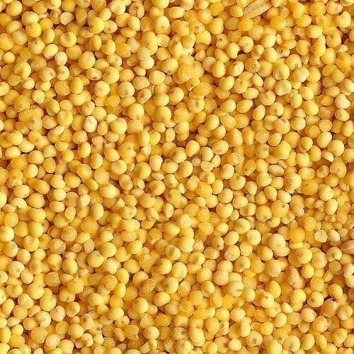 Yellow Jowar - పచ్చ జొన్నలు - 1 kg