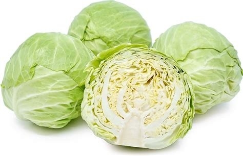 Cabbage : 500gms