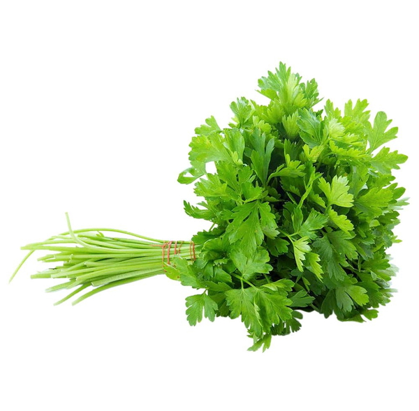 Coriander Leaves (50g-150g )1 Bunch