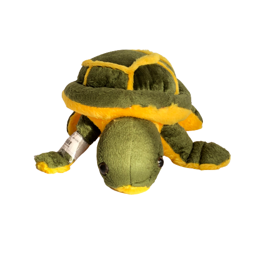 Tortoise soft toy