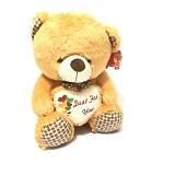 Lovely bear heart soft teddy