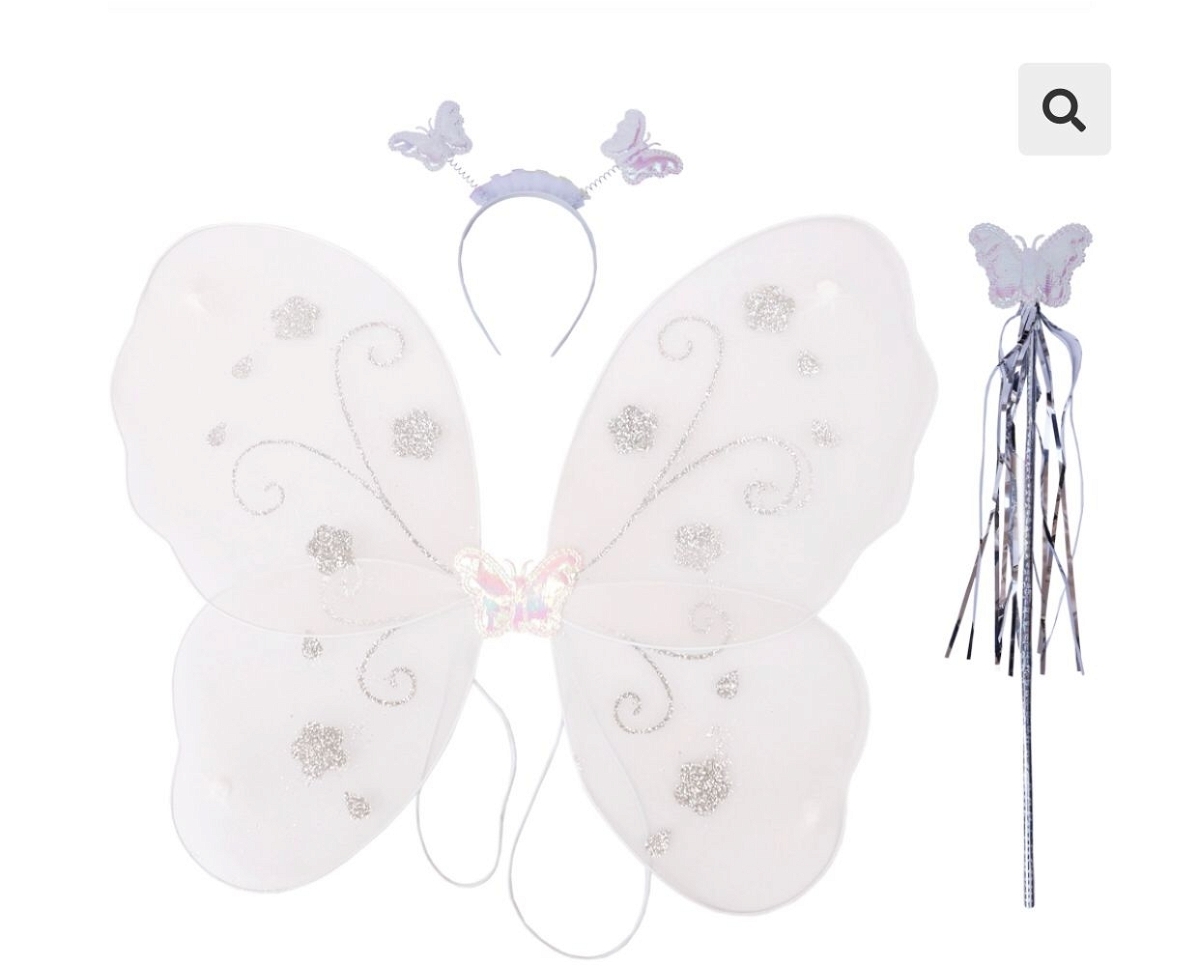 Butterfly Wings With Wand